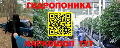 спиды Кинель