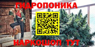 СК Кимры
