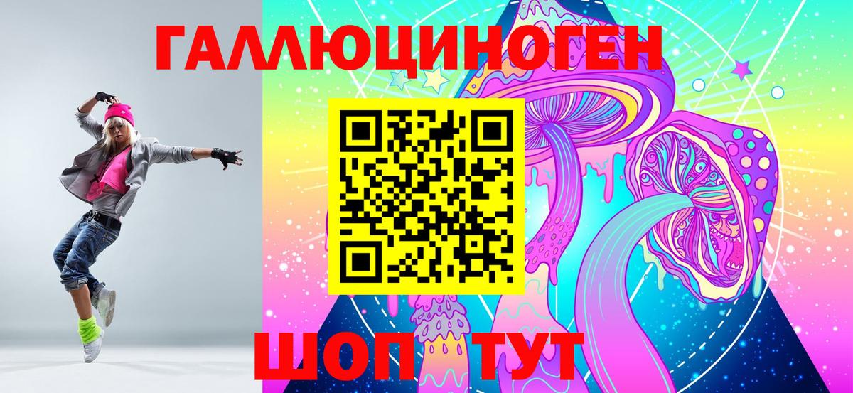 как найти   Псилоцибиновые грибы мицелий  Корсаков  Вход с VPN  Псилоцибиновые грибы GOLDEN TEACHER 